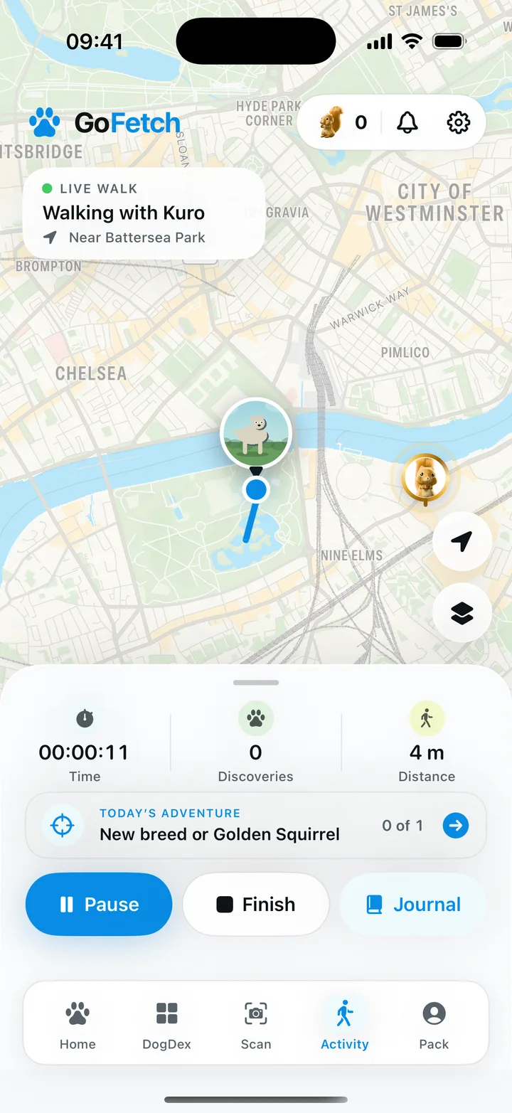 GoFetch live walk: walking with Kuro near Battersea Park