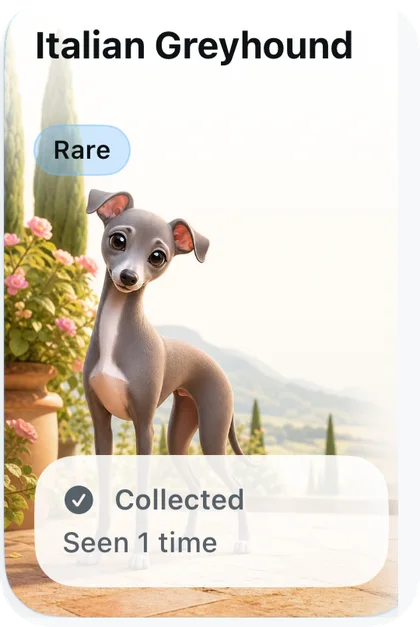 DogDex card: Italian Greyhound, Rare, collected