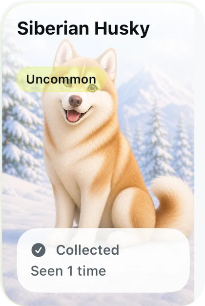 DogDex card: Siberian Husky, Uncommon, collected