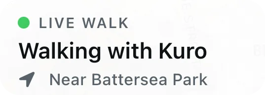 Live walk: walking with Kuro