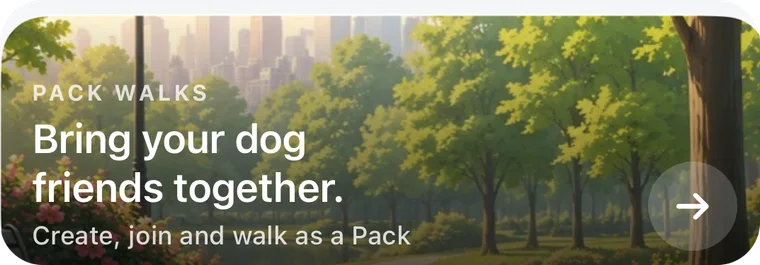 Pack Walks: bring your dog friends together
